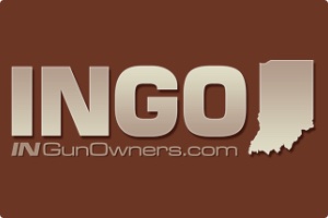 ingo_logo